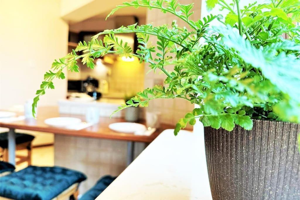 Exclusive Penthouse Near Citycenter 120M2 +Netflix Krasków Eksteriør bilde